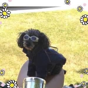 Meet your Posher, Teri